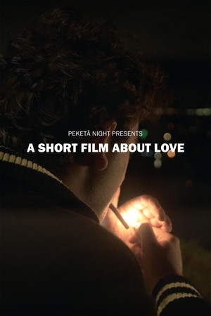 A Short Film About Love poszter