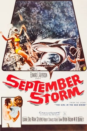 September Storm poszter