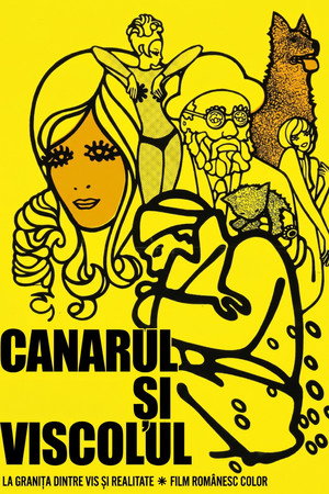Canarul și viscolul poszter