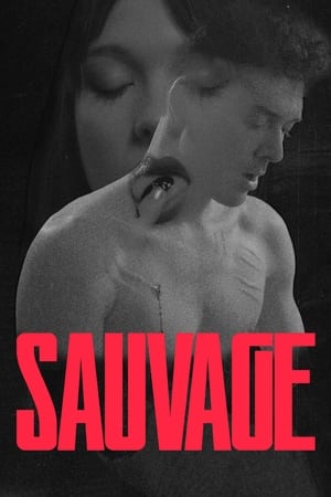 Sauvage poszter