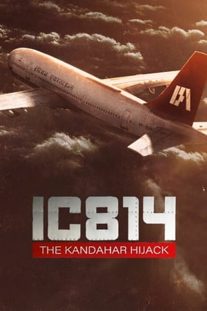 IC 814: A kandahári gépeltérítés poszter