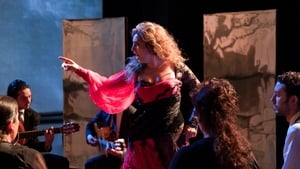 Flamenco Flamenco háttérkép