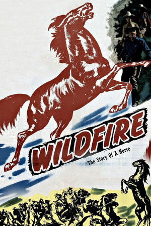 Wildfire poszter