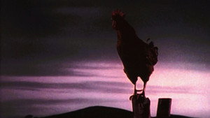 Green Acres Season 1 Ep.5 5. epizód