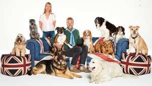 Britain's Favourite Dogs: Top 100 háttérkép