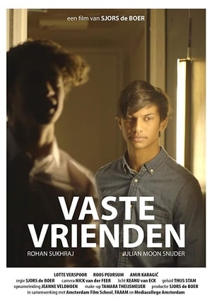 Vaste Vrienden poszter