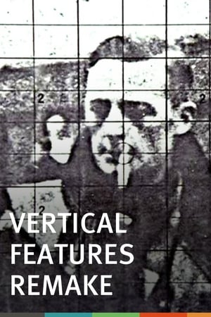 Vertical Features Remake poszter