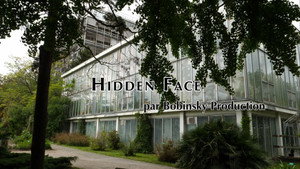 Hidden Face háttérkép