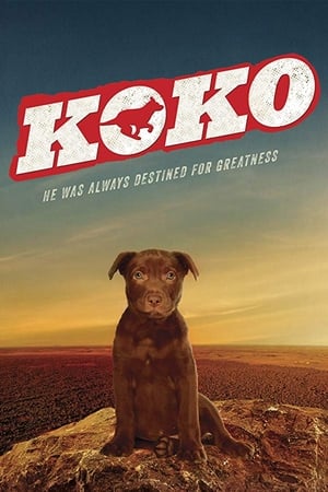 Koko: A Red Dog Story poszter