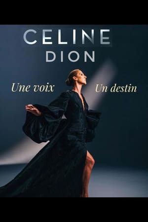 Céline Dion : une voix, un destin poszter