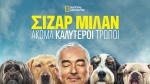 Cesar Millan: Jó gazdi, jó kutya kép