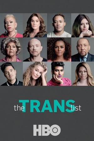 The Trans List poszter