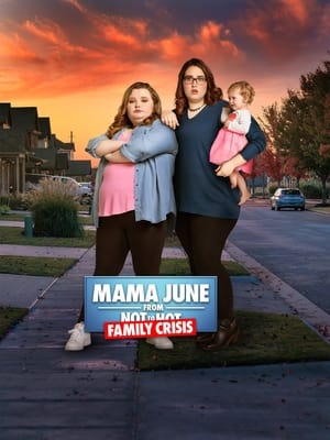 Mama June: Family Crisis poszter