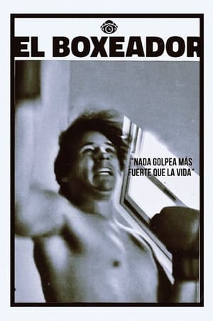 El Boxeador