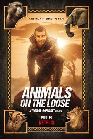 Állatok szabadon: Segíts Bear Gryllsnek poszter