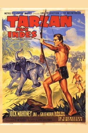 Tarzan Goes to India poszter