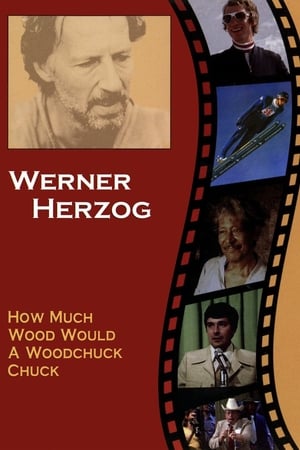 How Much Wood Would a Woodchuck Chuck: Beobachtungen zu einer neuen Sprache poszter