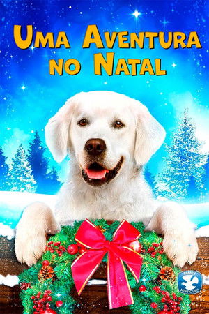 Adventures of Bailey: Christmas Hero poszter