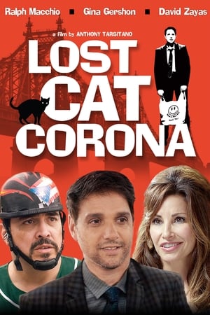 Lost Cat Corona poszter