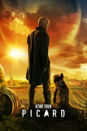 Star Trek: Picard poszter