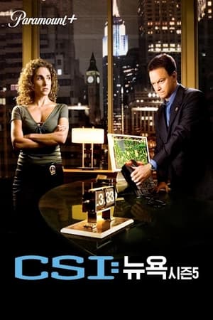 CSI: New York-i helyszínelők poszter