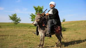 Nasreddin Hoca háttérkép