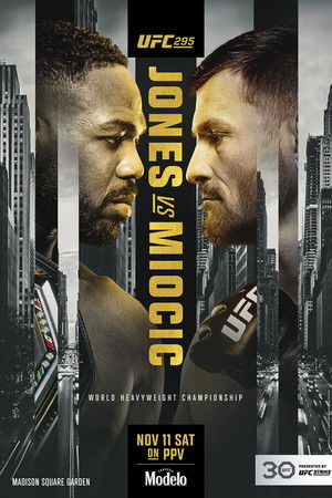UFC 295: Prochazka vs. Pereira poszter