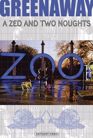 A Zed & Two Noughts poszter