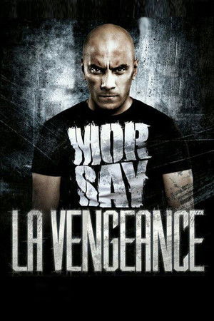 La Vengeance poszter