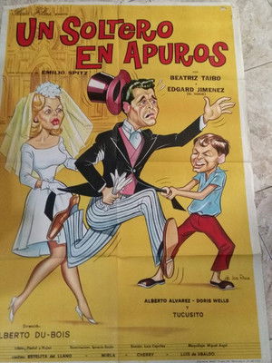 Un soltero en apuros poszter