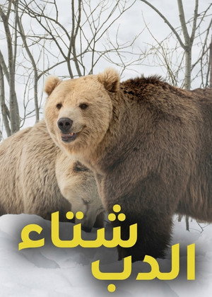 Winter of the Bear poszter