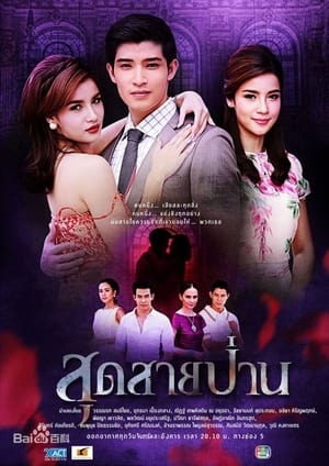 สุดสายป่าน