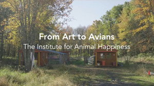 From Art to Avians háttérkép