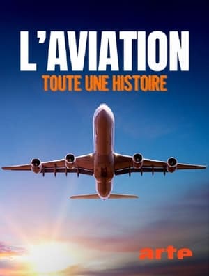 L'aviation, toute une histoire