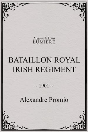 Bataillon Royal Irish Regiment