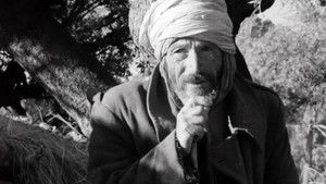 Algérie, année zéro háttérkép