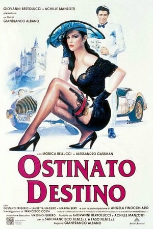 Ostinato destino poszter