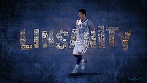 Linsanity háttérkép