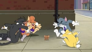 Tom és Jerry újabb kalandjai 2. évad Ep.20 A macska szövetség