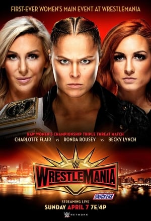 WWE WrestleMania 35 poszter