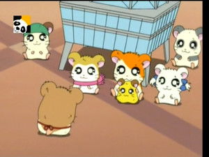 とっとこハム太郎 Season 1 Ep.64 64. epizód