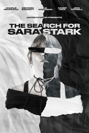 The Search for Sara Stark poszter