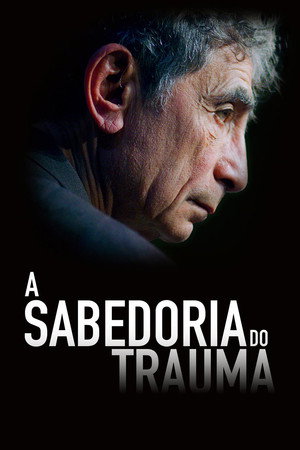 A trauma bölcsessége poszter