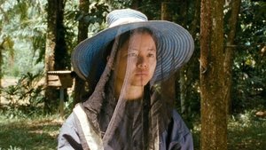 กระบี่, 2562 háttérkép