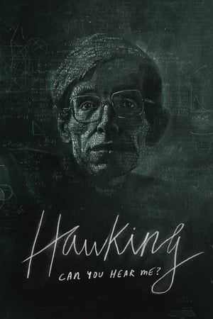 Hawking: Can You Hear Me? poszter