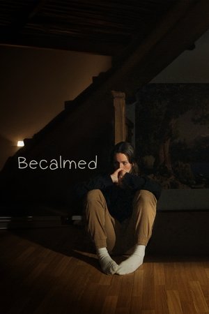 Encalminée poszter