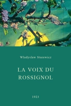 La voix du rossignol