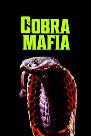 Kobra maffia poszter