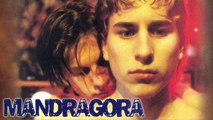 Mandragora háttérkép