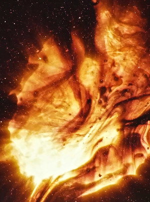 Stellar Iris